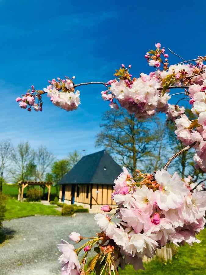 Gite "Cote Jardin" Vannecrocq Eksteriør billede