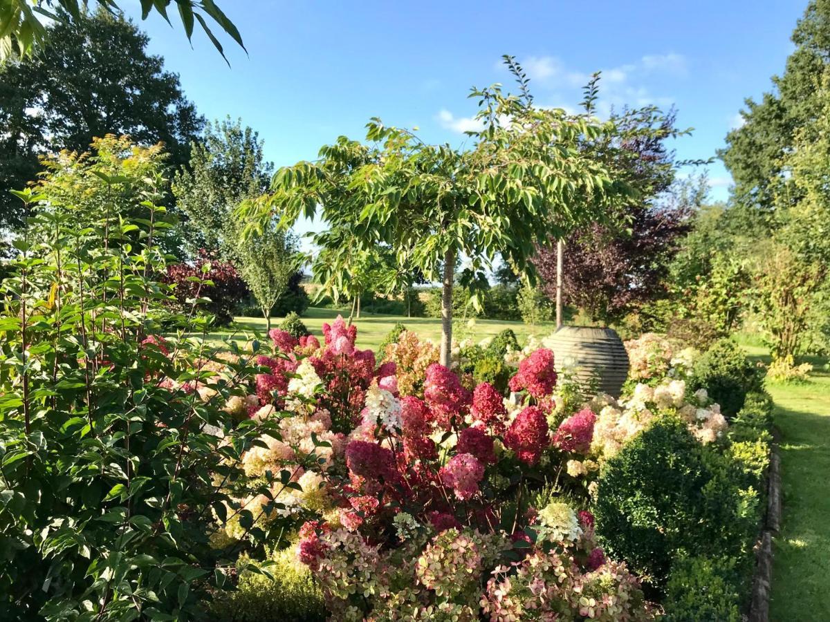 Gite "Cote Jardin" Vannecrocq Eksteriør billede
