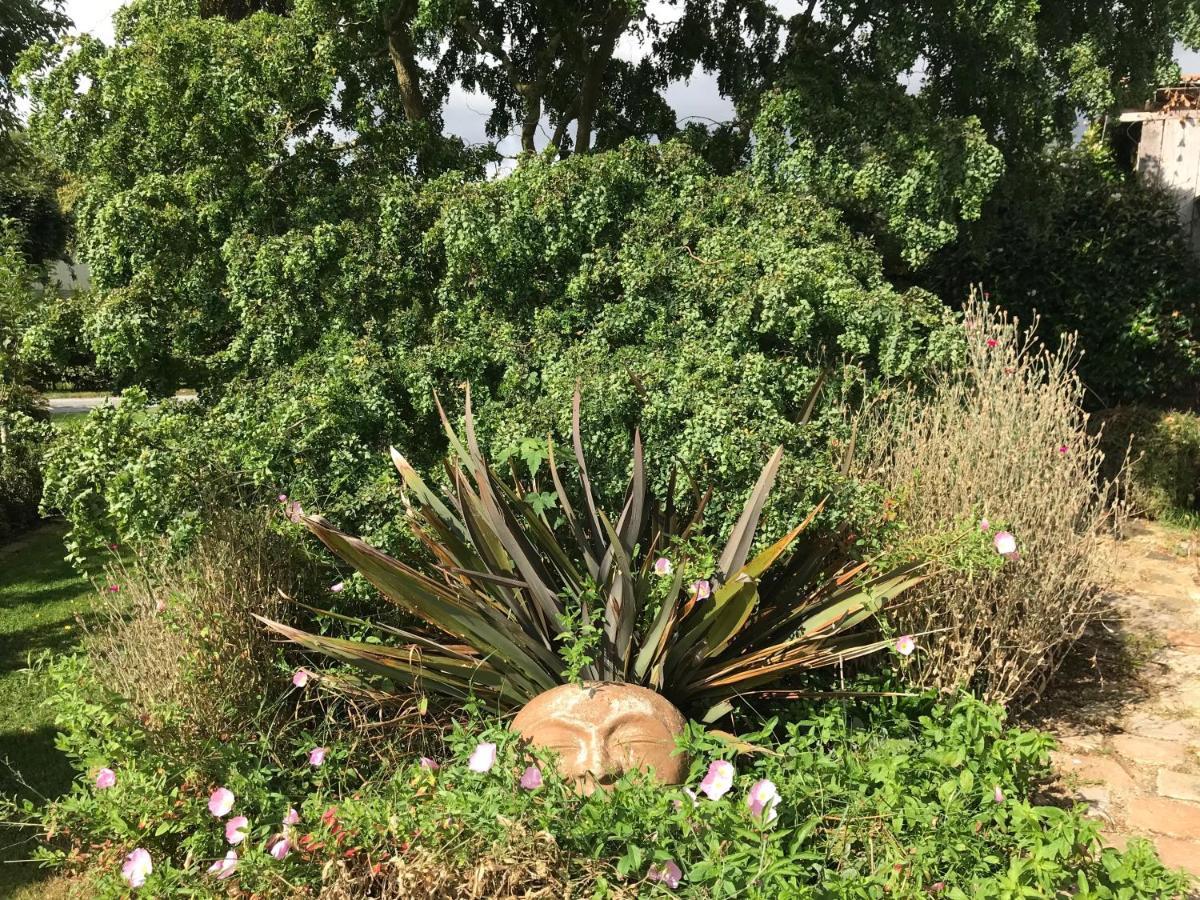 Gite "Cote Jardin" Vannecrocq Eksteriør billede