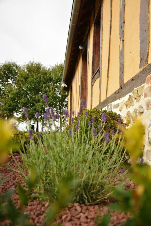 Gite "Cote Jardin" Vannecrocq Eksteriør billede