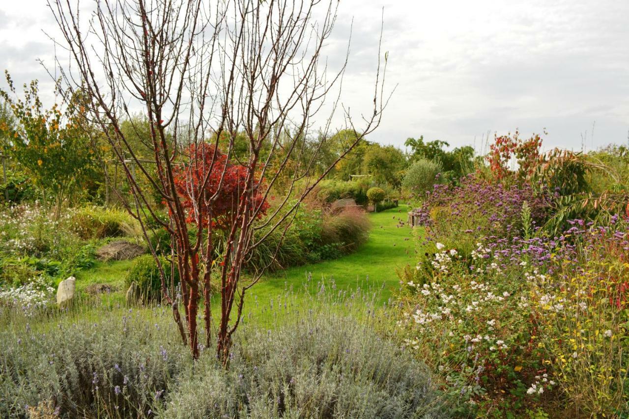Gite "Cote Jardin" Vannecrocq Eksteriør billede